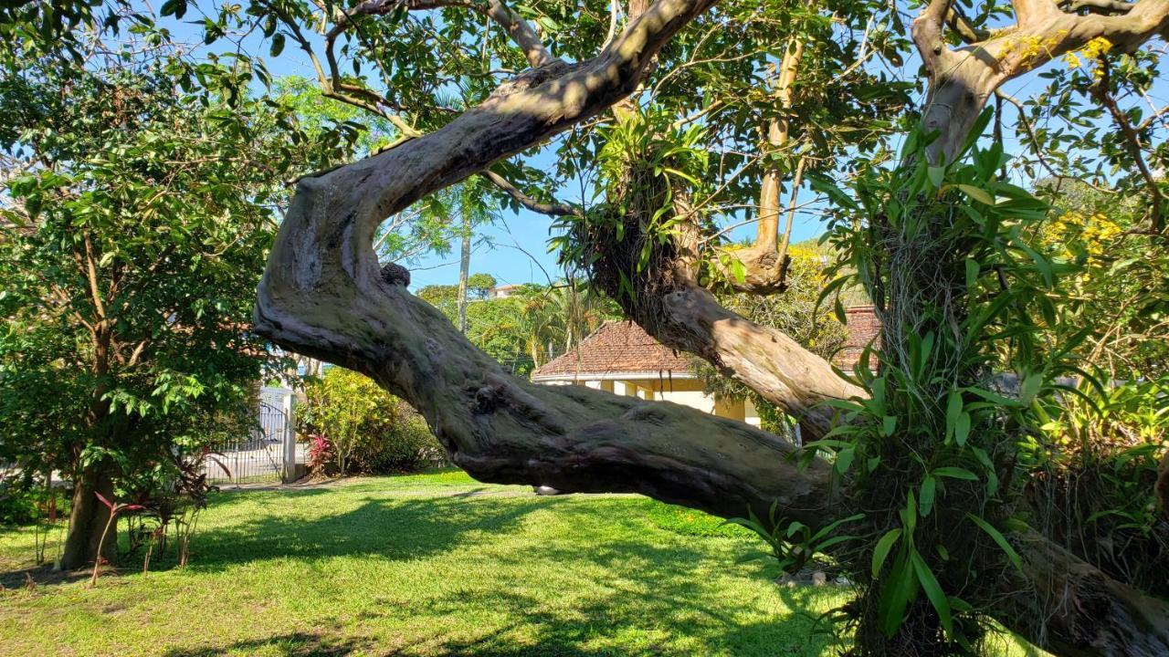 Natureza A 100M Da Praia, 4 Suites, Amplo Jardim Sao Sebastiao  Exteriör bild